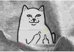 Finger cat keychain