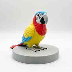 ADORABLE PARROT (without circular base)