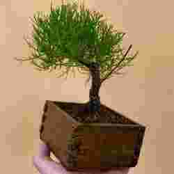 universal box / flower pot open dovetail joint for 3d printing wood texture