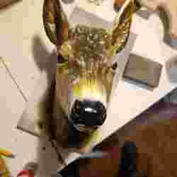 Decorative Deer Head Wall Mount – Suitable for Antlers/Sheds (3D Printable Model