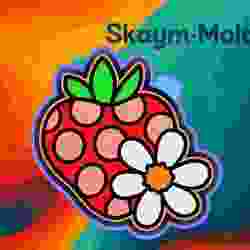 🍓🌼 Strawberry Bloom Design Mold – Freshie, Ornament, Resin & Candle Mold