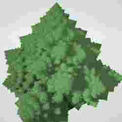 3D Fractal structure Broccolo Romanesco