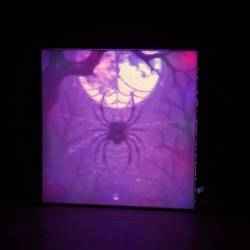 RB Living Halloween spider light box decoration