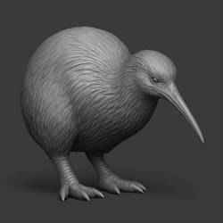 Kiwi