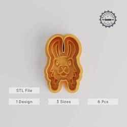 Llama Shape Cutter & Stamp Set, Cookie & Fondant Design, Animal Theme, 3 Sizes, 6 Pieces