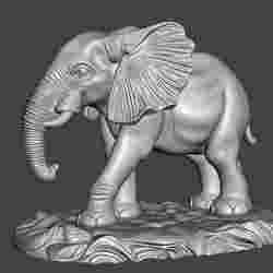 G35 Elephant