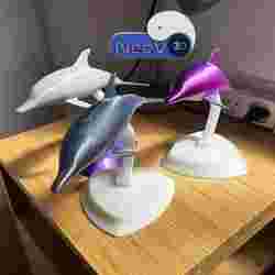 NeeV Dolphin