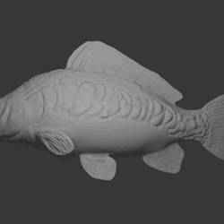 Carp fish FAN-ART. ready to print