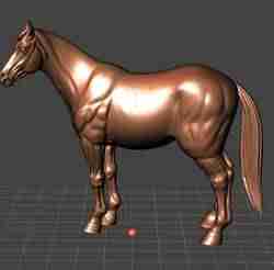 Horse standing upright