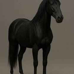 3D Render of a Black Horse