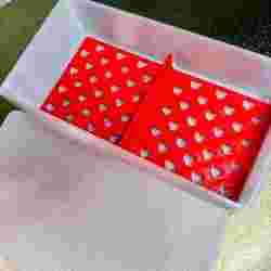 double soap dish, soap box container dry