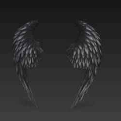 wings, wing, wing, angel wing, demon wing, angel, demon, decor, decorated accessory, decor for mythological characters