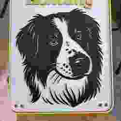 Dog warning sign Australian Shepherd Border Collie