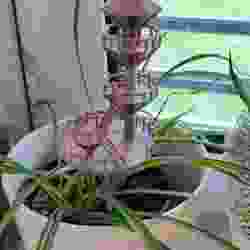 Mini Treehouse 3 Plant Decoration