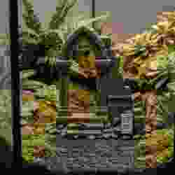 Ancient Ruins Arch - Terrarium Series #3