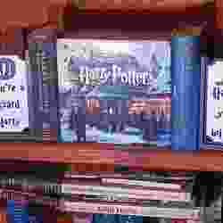 Harry Potter Bookend Yer a wizard Harry