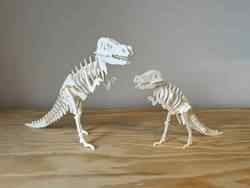 T-Rex 3D Puzzle Seti Kartı