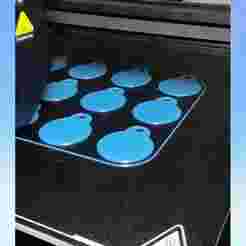 12 Zodiac Signs Medallions Set.