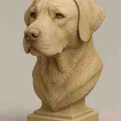 3D Labrador Retriever Bust Sculpture – Realistic Dog Statue for 3D Printing