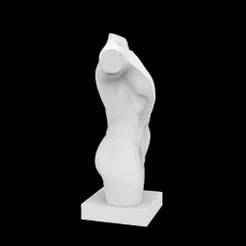 Abstract Human Torso Sculpture 3D Printable Model