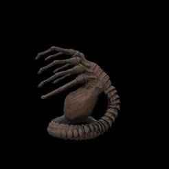 Alien Romulus Face Hugger