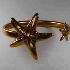 Anillo de estrella