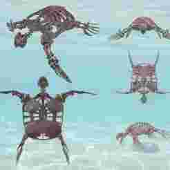 Archelon: complete skeleton