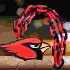 Arizona Cardinals Chain