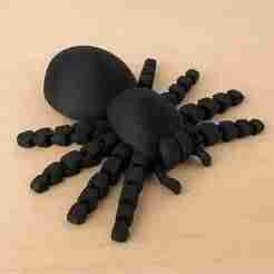 Articulated Spider