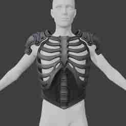 Banshee Ribplate Chest Armor and Pauldrons