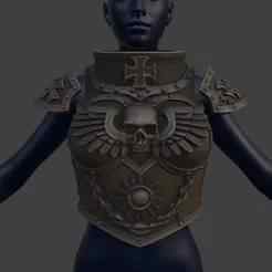 Battle Sister Chest Armor & Pauldrons