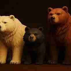 Bear Spectrum: Trio of Strength in Stylized 3D