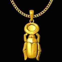 Beetle pendnat charm