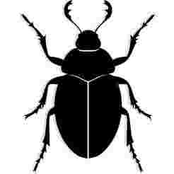beetle viewed from above 2 - 2D/3D Wall Art STL+SVG For CNC Router, Plasma, Waterjet, Laser & 3D Printer