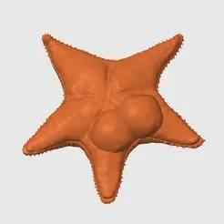 Big-ass starfish