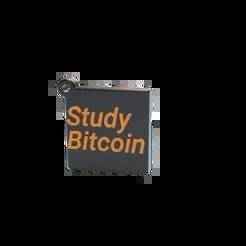 Bitcoin Keychain - Block "Study Bitcoin"