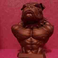 Bulldog Warrior Bust – Muscular Dog Statue 3D Print Model | Strong Bulldog Decor