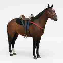 Caballo homosexual de las montañas