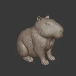 “Capybara Figure – Highly Detailed 3D Print Model”