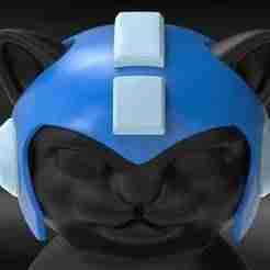 Cat Helmet