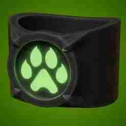 Cat noir ring cosplay  LADYBUG