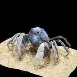 CRAB CRUSTACEOUS AMPHIBIAN TADPOLE Sinica CRAYFISH FISH ANATOMY 3D MODEL WATER OCEAN RIVER RAPTOR