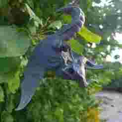 Cute Dragon Hanging - 3D Print STL