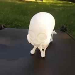 Cute Laying Skeleton