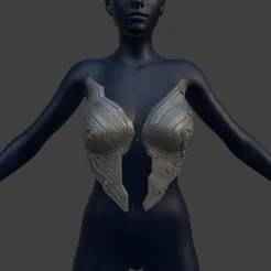 Cyborg Breast Armor