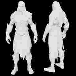 Dark Warrior Assassin 3D Print Model