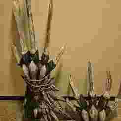 decimation claws