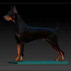 DOBERMAN DOG V1
