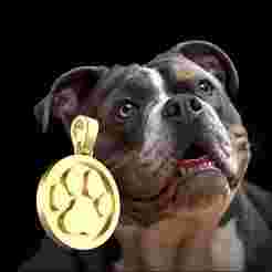 Dog Paw Pendant - Cute Pet Lover Jewelry STL File