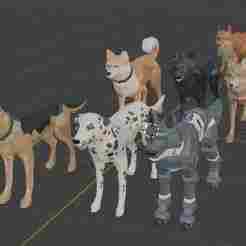Dogs
